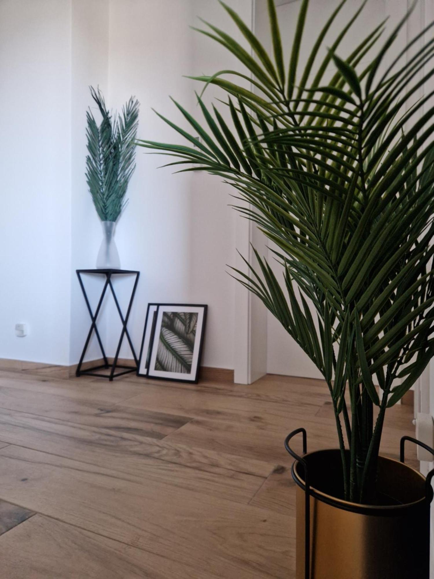 Apartment Luka Privlaka  Dış mekan fotoğraf